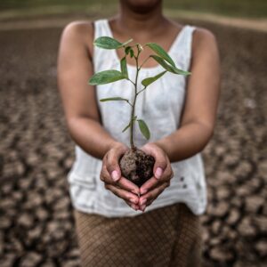 young lady holding a tree to plant