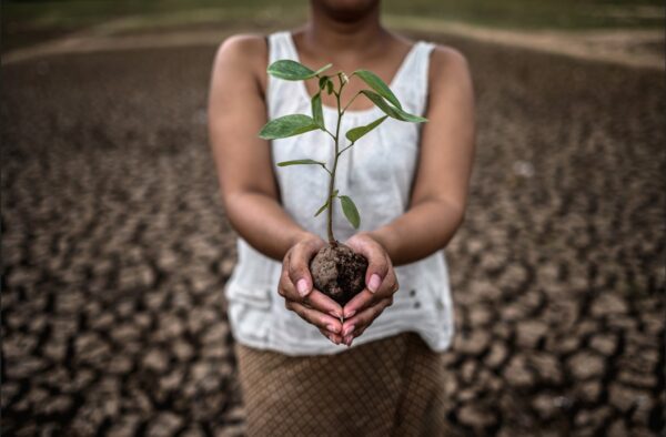 young lady holding a tree to plant